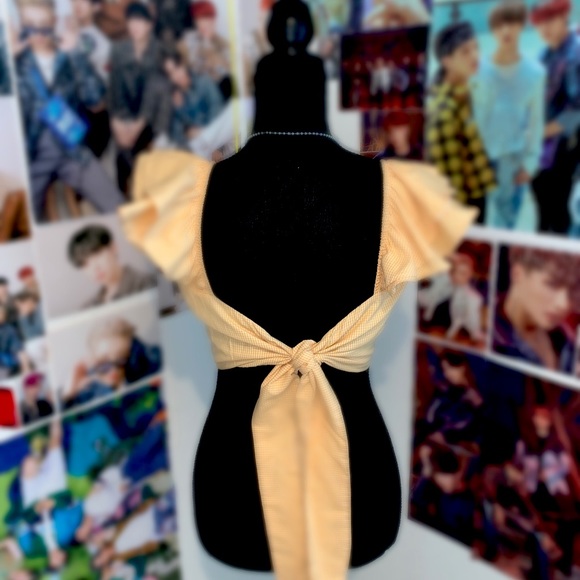 Tie-Back Cropped Blouse with Ruffled Shirt Sleeves - Picture 2 of 2